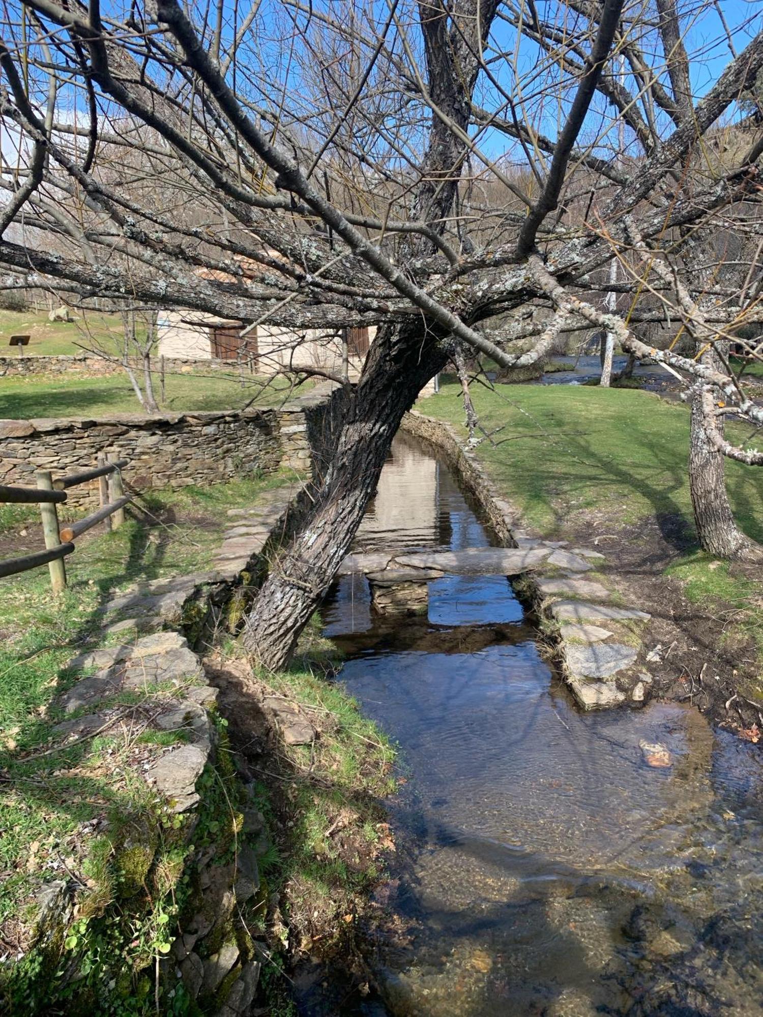 El Tinao De La Hiruela Villa Exteriör bild